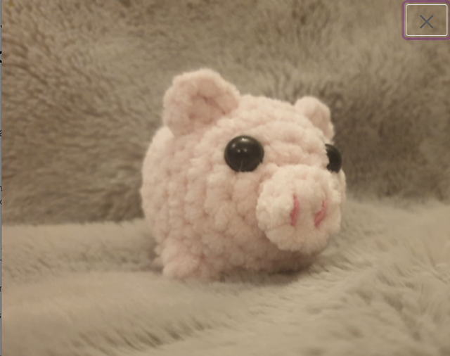 Fluffy pig