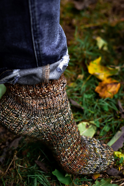 Autumn Garden Sock