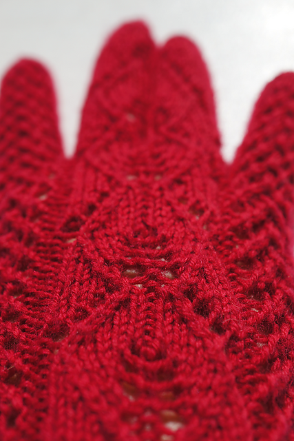 Delicate Lace Gloves