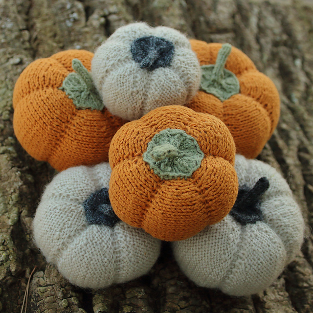 Autumn Means Pumpkins