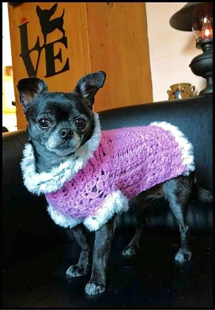 Sweet Pea Dog Sweater