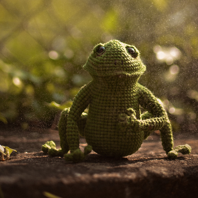 A frog named Gilbert