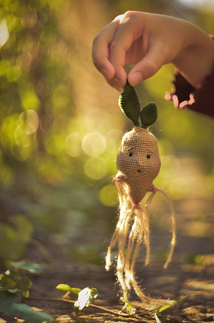 Mandrake or the little root