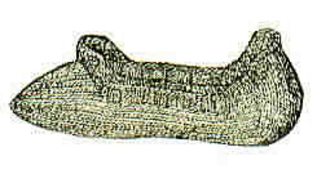 Overshoe