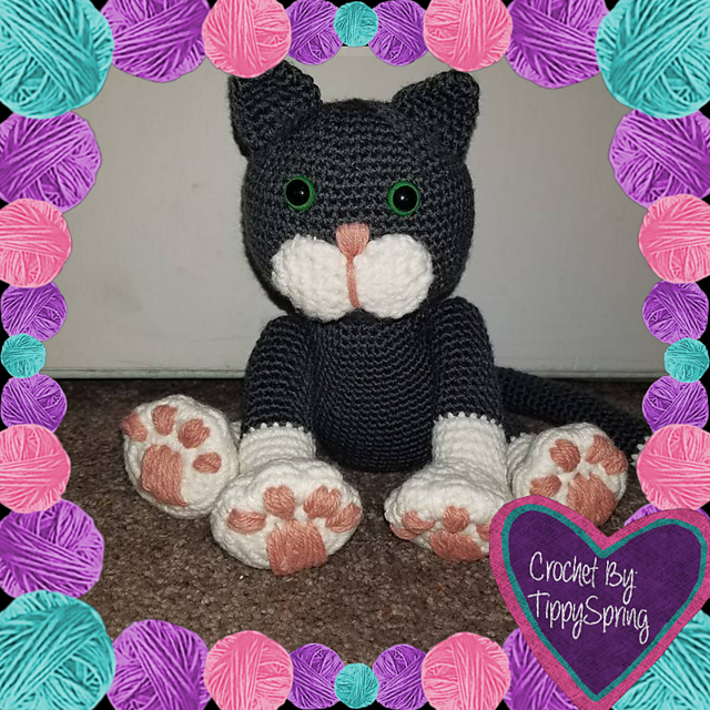 Mr.Snuggles Kitty