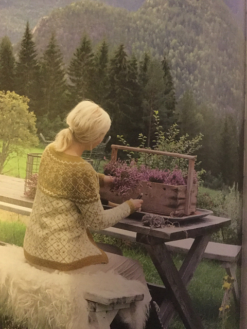 Sørlandskofte