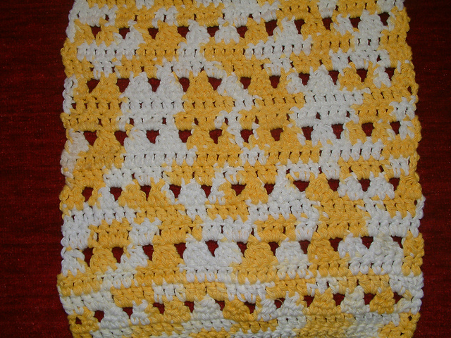 Wash & Wipe Dishcloth #11