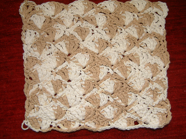 Wash & Wipe Dishcloth # 9