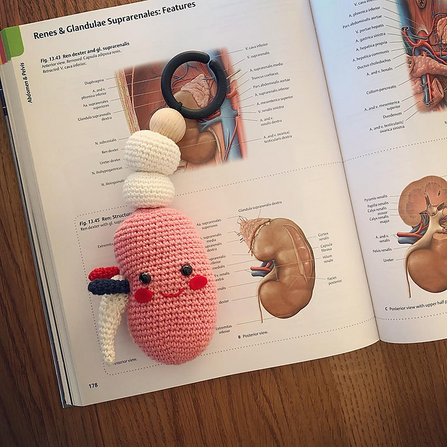 René The Kidney