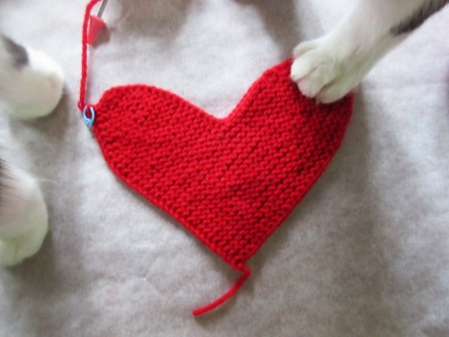 Heart in One String