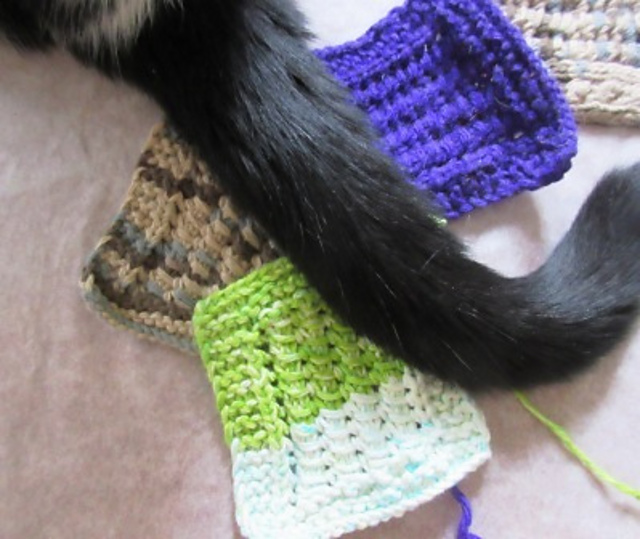 Furballs' Little Handkerchief