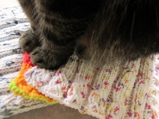 Furballs' Lemon Twist