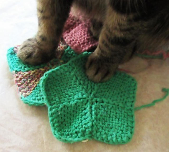 Furballs' Little Starlet Handkerchief