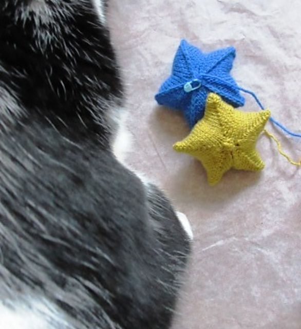 Furballs' Rising Star