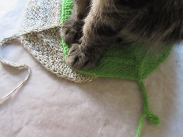 Furballs' Cattywood Leaf