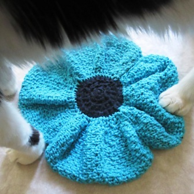 Furballs and Remembrance Day Broken Stone Poppy