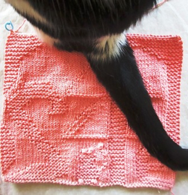 Furballs' New Year Resolution 3: SAFE
