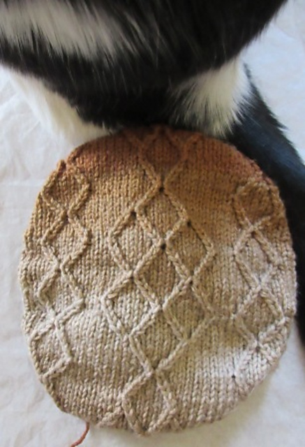 Furballs' Complicated Short Circuit Hat