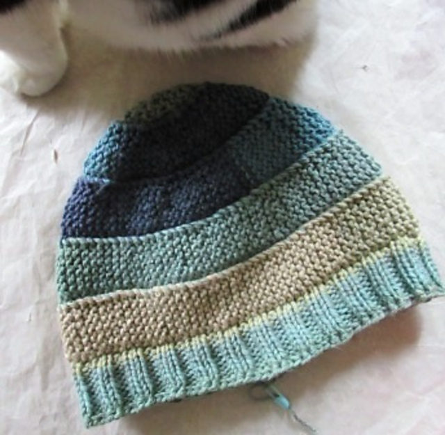 Furballs' Basic Spiral Beanie
