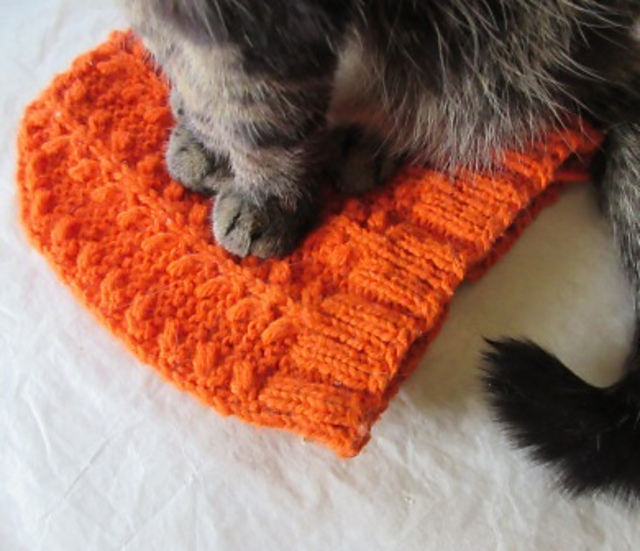 Furballs' Scholar Beanie