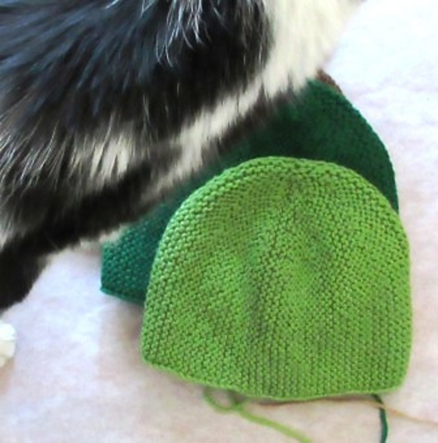 Basic One End Short Row Hat 3