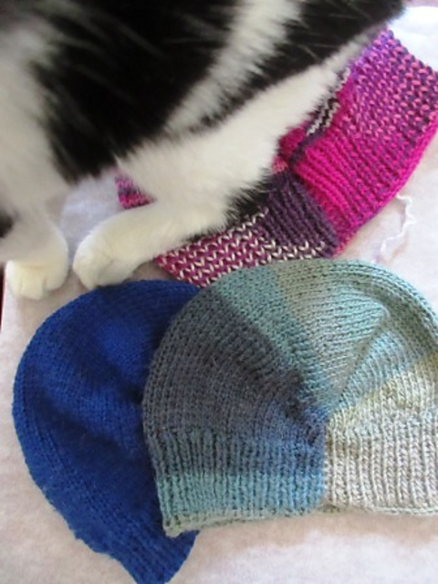 Basic Two End Short Row Hat