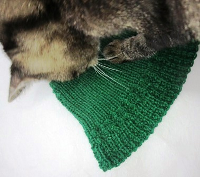 Furballs' Apollo Beanie