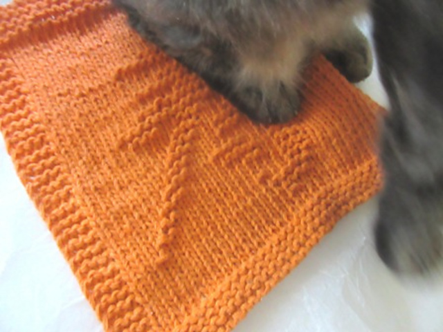Long Live the Furballs 壽