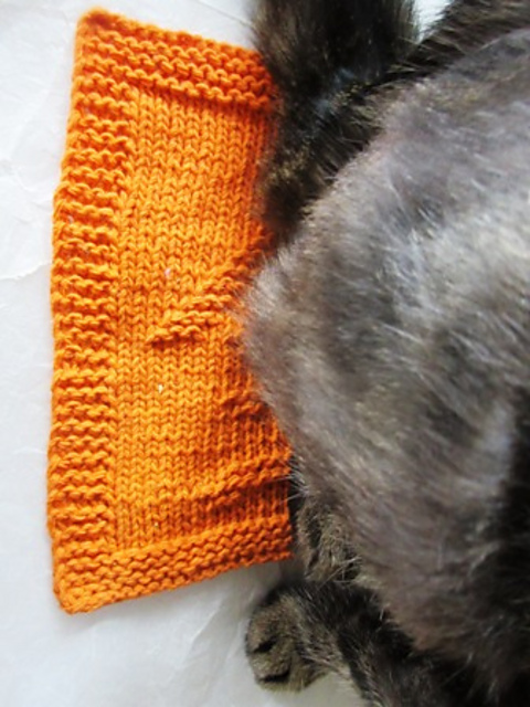 Furballs have it ALL 全