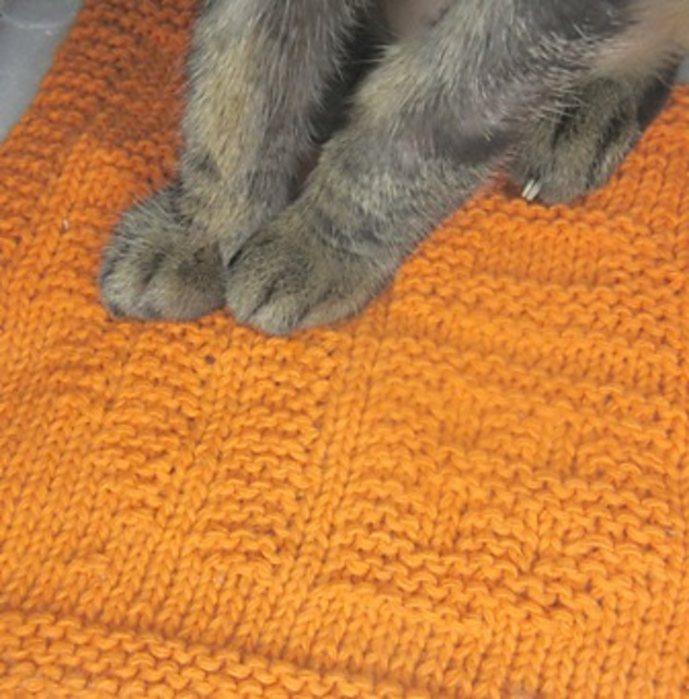 Furballs are so Fortunate 3 三福