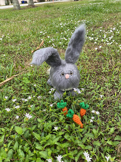 Blair The Bunny