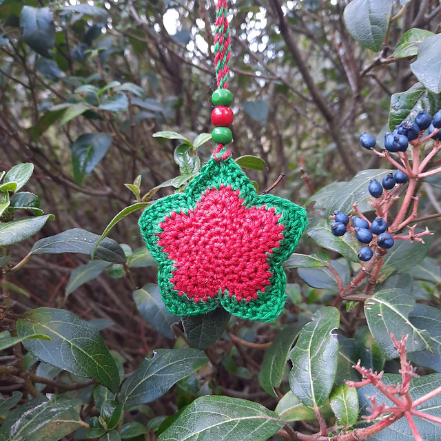 Little Christmas Star