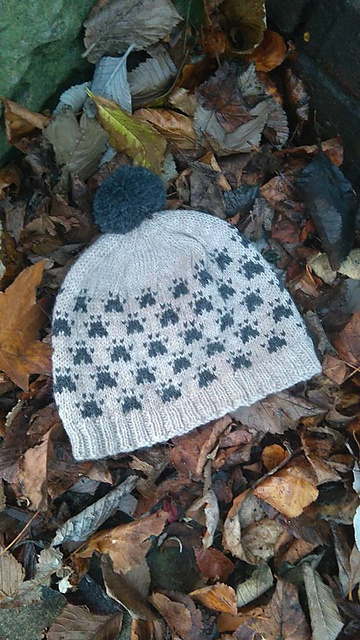 Pawprints Hat