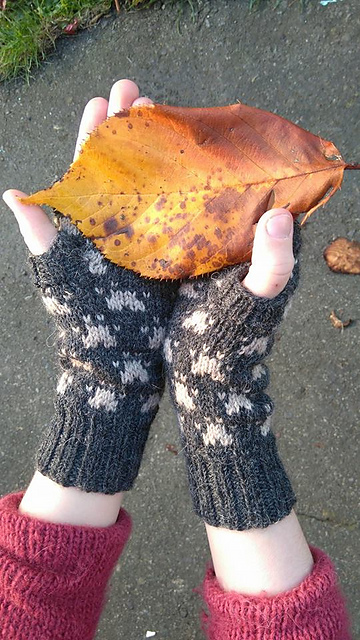 Pawprints Mitts