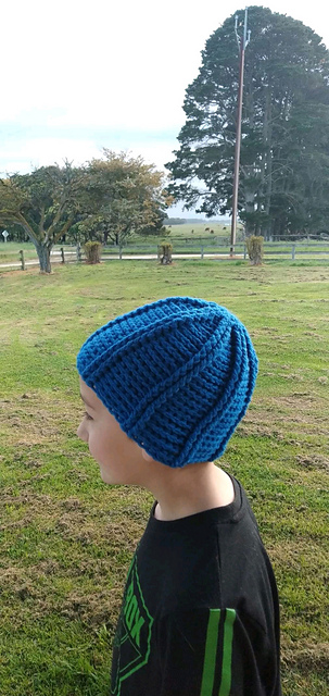 Reversible hat