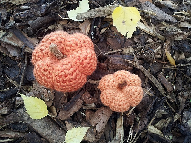 Tiny Pumpkins