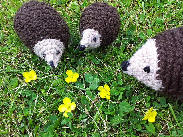 Crochet Hedgehogs