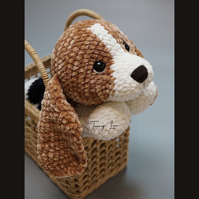 Bailey the Beagle Puppy