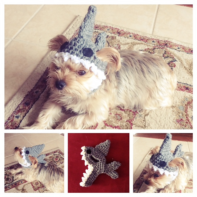 Dog Hat