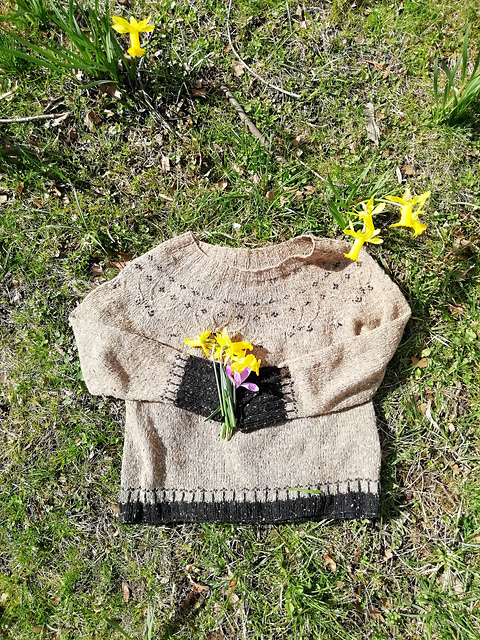 Spring version LVDF