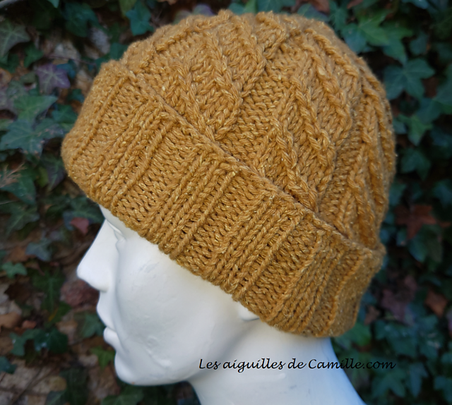 Traveler's Beanie