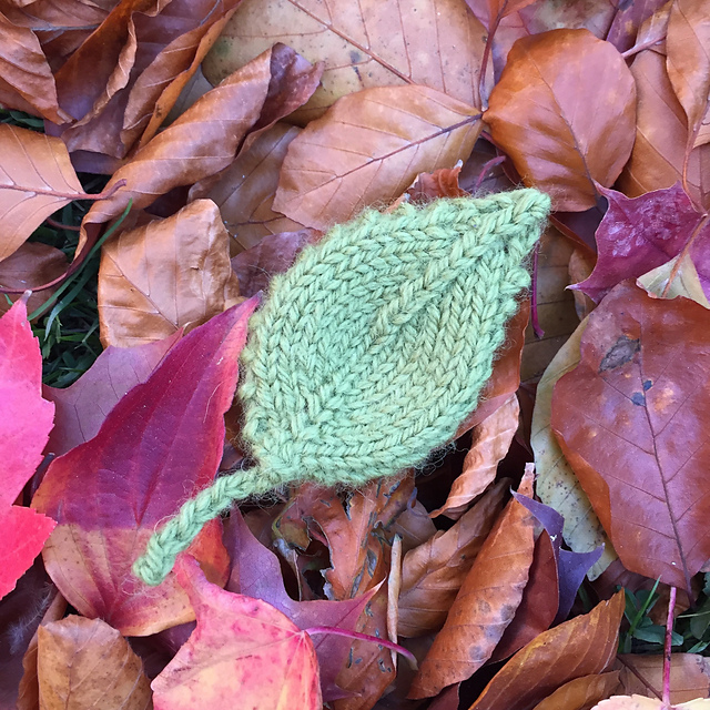 Whitebeam Leaf