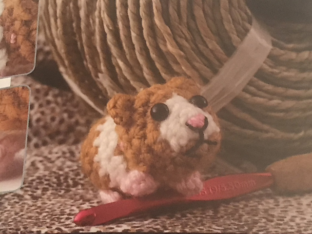 Guinea Pig
