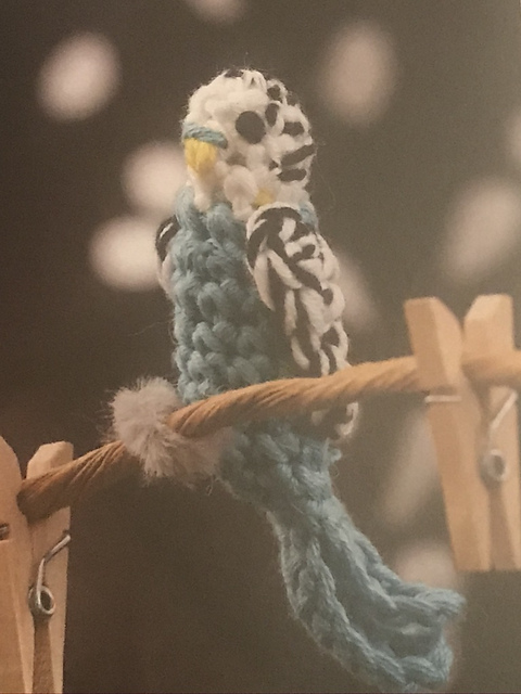 Parakeet