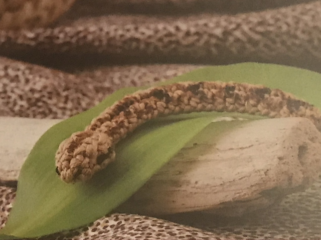 Snake