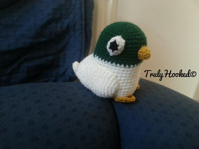 Duck
