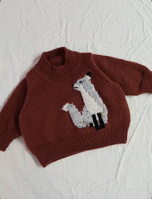 NORTH SWEATER JUNIOR