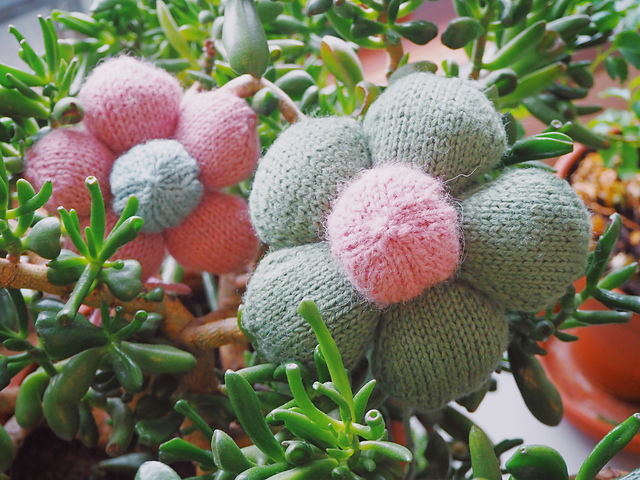 Puffy Petal