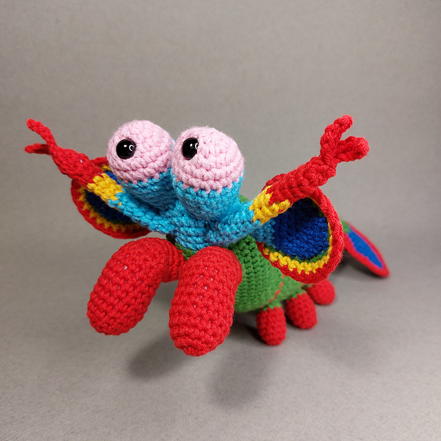 Mantis Shrimp