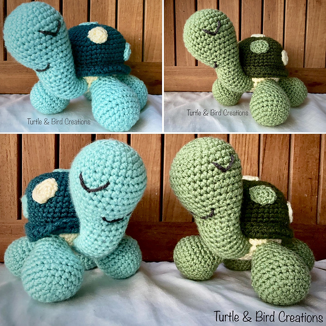 Polka Dot Turtle